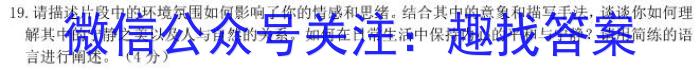 河南省2023~2024学年度七年级上学期阶段评估(一) 1L R-HEN/语文