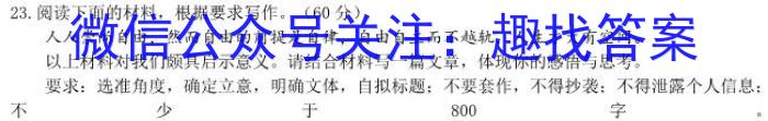 江西省宜春市高安市2023-2024学年度上学期九年级期末质量监测/语文