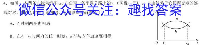 大湾区2023-2024学年第二学期期末联合考试（高二年级）物理试题答案