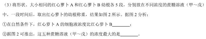 安徽省2024年高考适应性联考(243636D)生物
