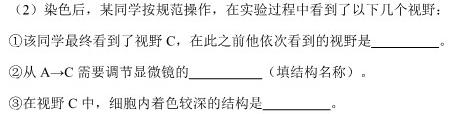 鼎成原刨模考 2024年河南省普通高中招生考试 核心诊断卷生物