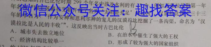 衡水金卷先享题调研卷2024答案(JJ·A)(二)历史试卷答案