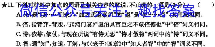 陕西省2023-2024学年第二学期九年级第一次模拟考试/语文