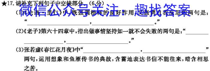 安徽省2024届九年级5月联考试题卷（三）（无标题）语文