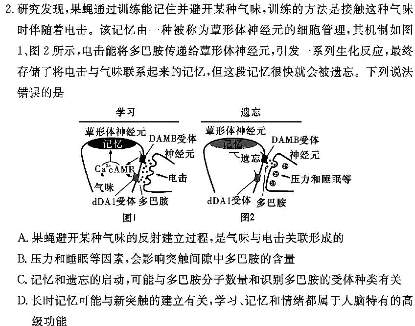 衡水金卷先享题2024答案调研卷(吉林专版4生物