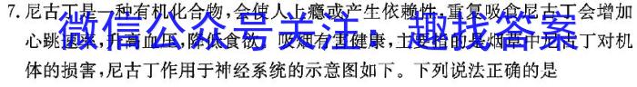 2023-2024学年上学期保定市高一年级1+3联考12月月考生物学试题答案