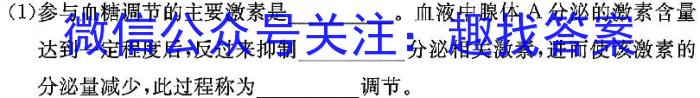 河北省2023-2024学年第一学期高二年级二调考试(242429D)生物学试题答案