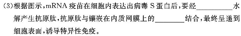 2025届九师联盟 青海省高三开学摸底考试(25-L-038C)生物