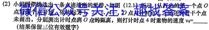 2024江西学考总复习猜想九年级模拟冲刺(二)q物理