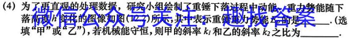 陕西省2023-2024学年度高一第二学期阶段性学习效果评估(三)物理试卷答案