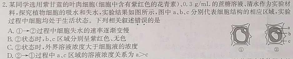 湖北省2024年春"荆、荆、襄、宜四地七校考试联盟"高二期中联考生物学部分