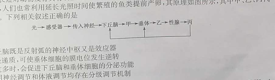 2024年广东地区高二阶段性考试（4月）生物