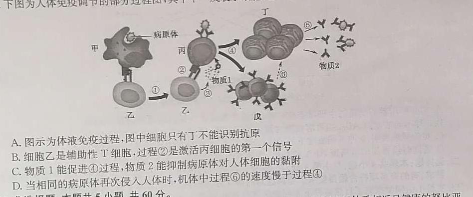 广东省衡水金卷2024届高三12月大联考生物学部分