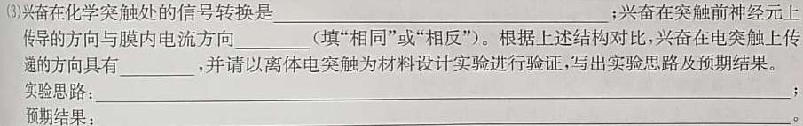 湖南省2023-2024学年度高二年级第二学期4月联考生物学部分