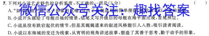 天域安徽大联考2024届高三第二次素养测试语文