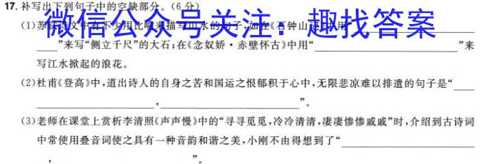 2024年陕西省初中学业水平考试全真模拟（二）A/语文