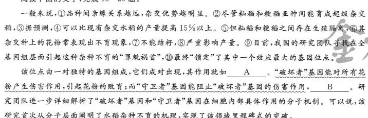 [今日更新]云南民族大学附属高级中学2024届高三联考卷(六)6(243599D)语文