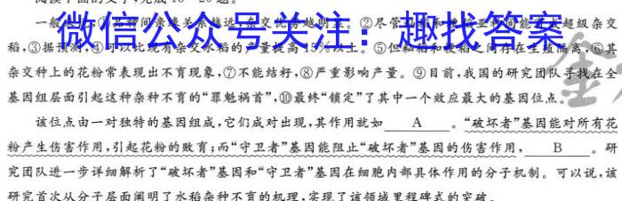 2024届广西省高一年级阶段性考试(24-200A)语文