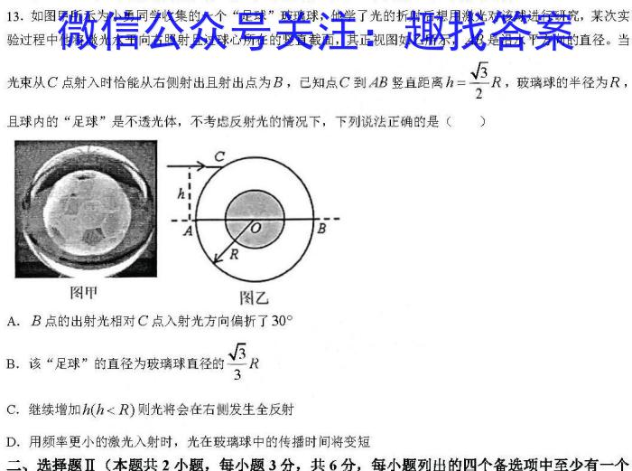 2024届贵州省六校联盟高考实用性联考卷（三）物理试卷答案