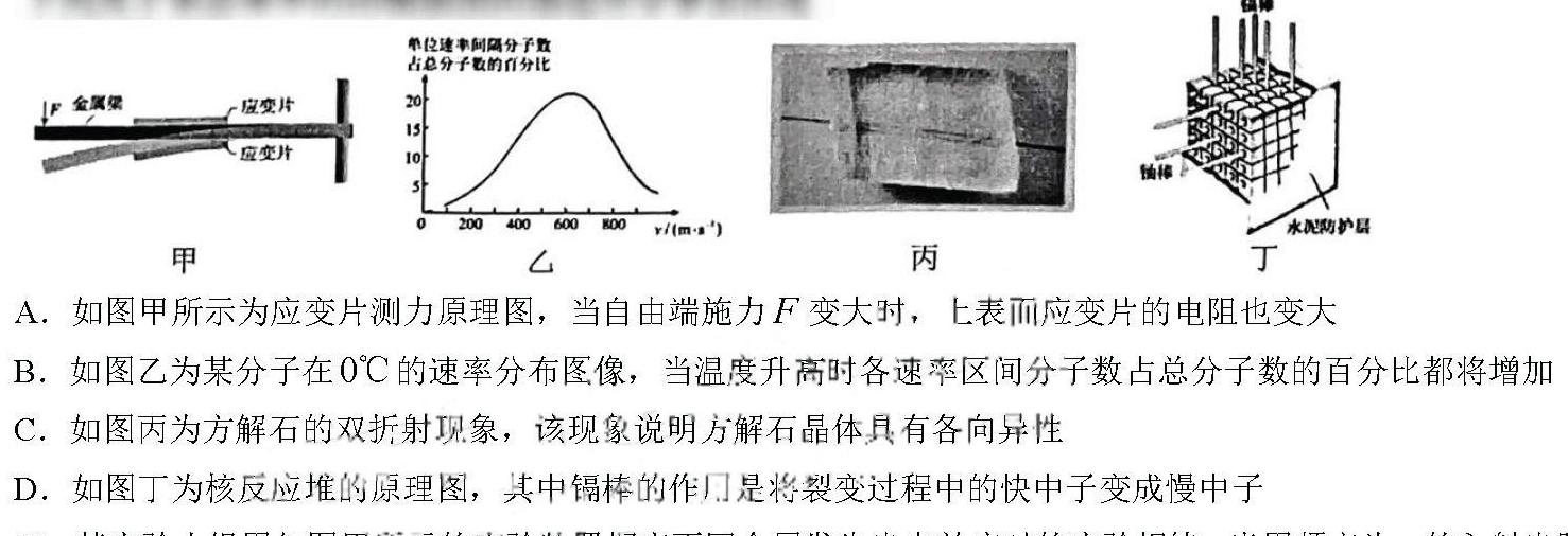 2024年春八年级期末质量检测(物理)试卷答案