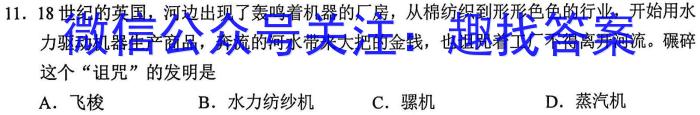 江西省2024-2025学年七年级上学期第三阶段练习&政治