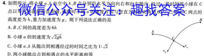 [高州一模]高州市2024届高三第一次模拟考试(24312C)物理试卷答案