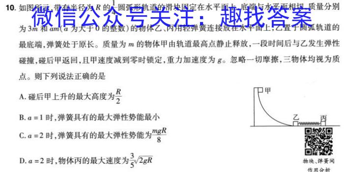 2024普通高等学校招生全国统一考试·名师原创调研仿真模拟卷(六)6物理试题答案