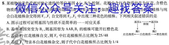 山西省太原37中2023-2024学年七年级阶段练习（二）生物学试题答案