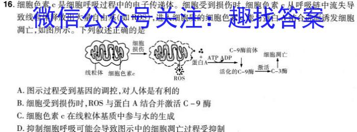 智ZH 河南省2024年中招模拟试卷(六)6生物学试题答案