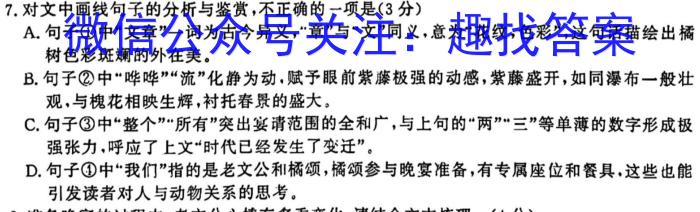 安徽省2024年九年级教学质量检测(CZ147c)语文