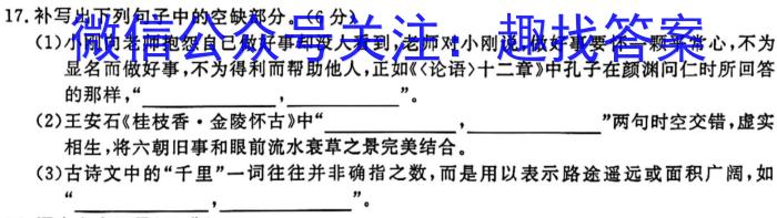 安徽省怀宁县2023-2024学年度第二学期七年级期末教学质量检测语文