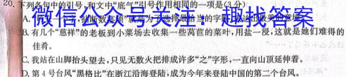 2024年河南省中招考试模拟冲刺卷（二）语文