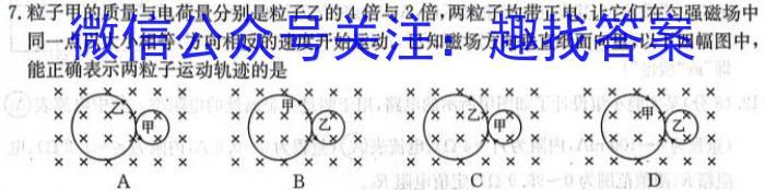 天一大联考 河南省2025届高三年级调研考试物理试卷答案