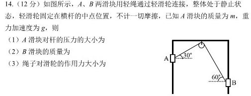 2024届高三诊断模拟考试(二)物理试题.