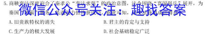 安徽省2023-2024学年度八年级阶段考试历史试卷答案