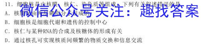 三晋卓越联盟·山西省2024-2025高三9月开学考试生物学试题答案