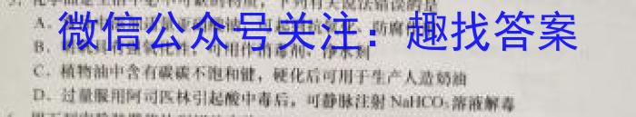 3江西省2024届九年级阶段性检测题（12.26）化学试题