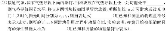 [今日更新][阳光启学]2024届高三摸底分科初级模拟卷(二)2.物理试卷答案