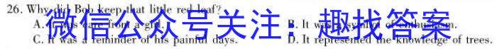 河南省2023~2024学年上学期九年级期末核心素养检测英语