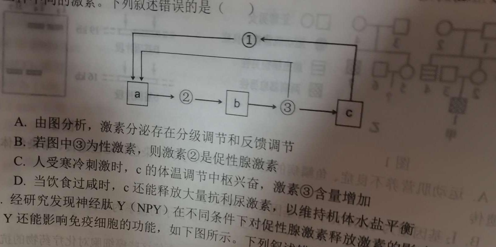 2024普通高等学校招生全国统一考试·名师原创调研仿真模拟卷(五)5生物学部分