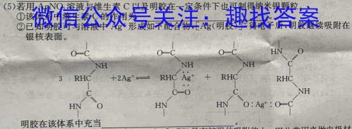 j山西省太原37中2023-2024学年七年级阶段练习（二）化学试卷答案
