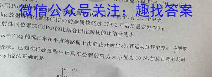 考前信息卷·第六辑 砺剑·2024相约高考 考前冲刺预测卷(四)物理