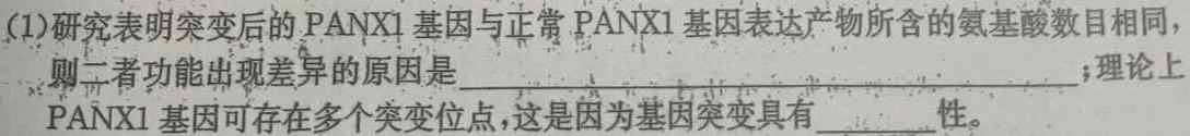 山西省大同一中南校2024-2025学年第一学期八年级阶段性综合素养评价（二）生物