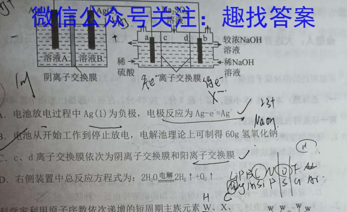 3山东名校考试联盟2023年12月高一年级阶段性检测化学试题