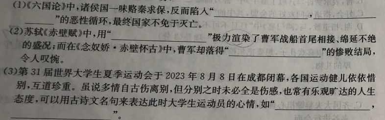 [今日更新]江淮名卷·2024年安徽中考模拟信息卷(八)8语文