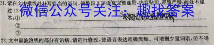 ʡ2024꼶12½׶Լ(24-226C)xԾ