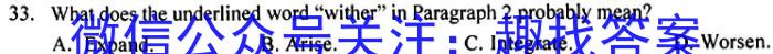 安徽省2023-2024学年第二学期九年级质量监测（4月）英语试卷答案