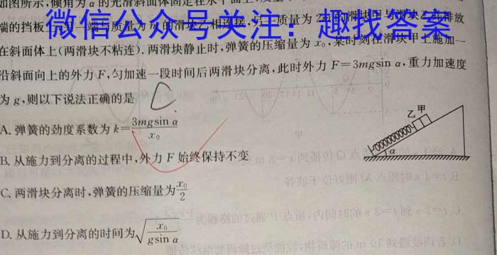 2024届炎德英才大联考雅礼中学高三模拟试卷(一)物理`