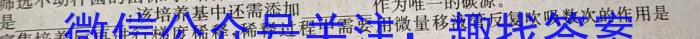 陕西省2023-2024学年度高二年级考试（3月）生物学试题答案