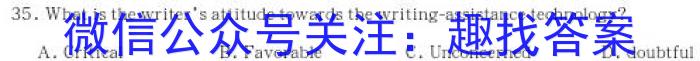 2024届陕西省渭南市大荔县高三第四次模拟考试英语